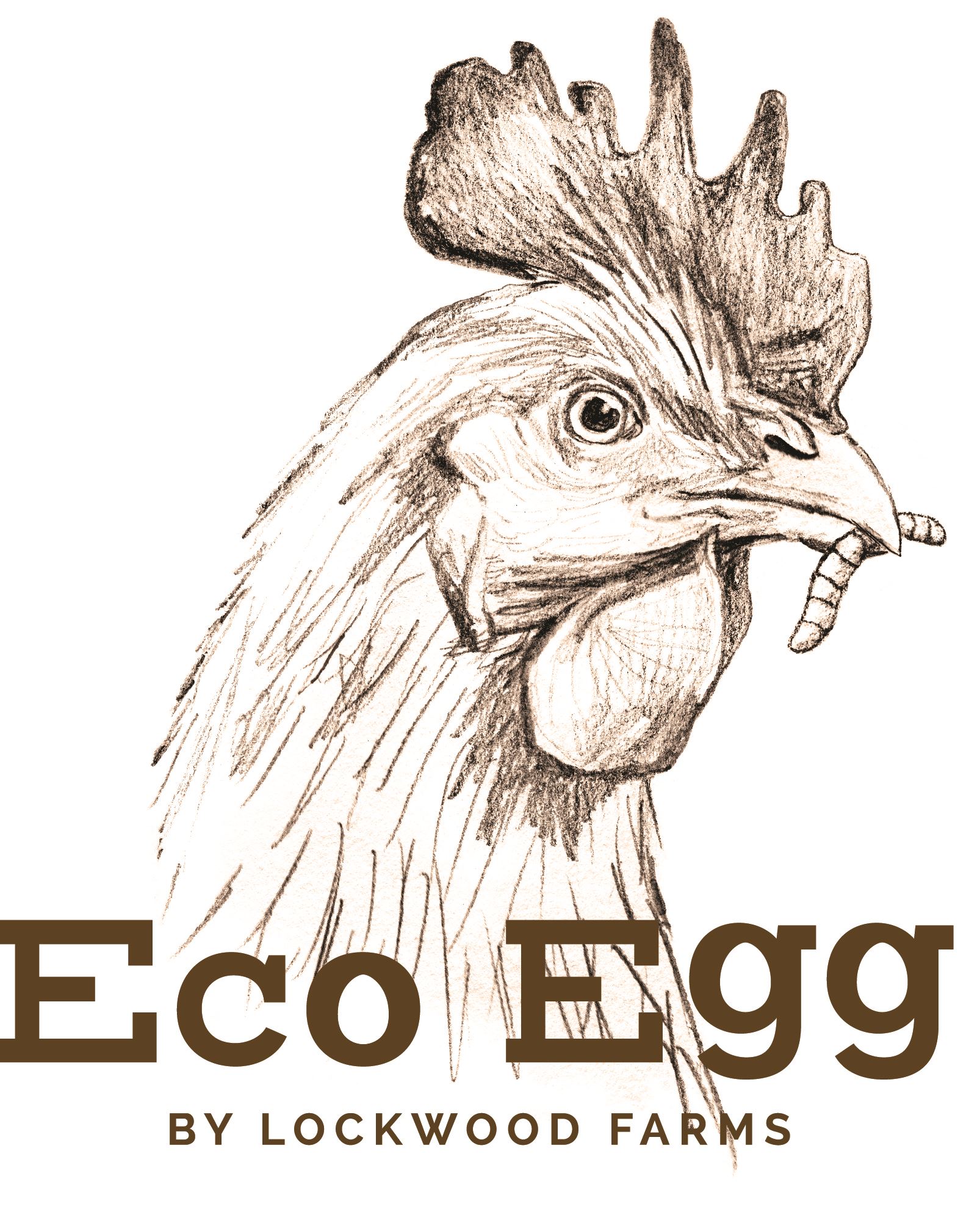 EcoEgg