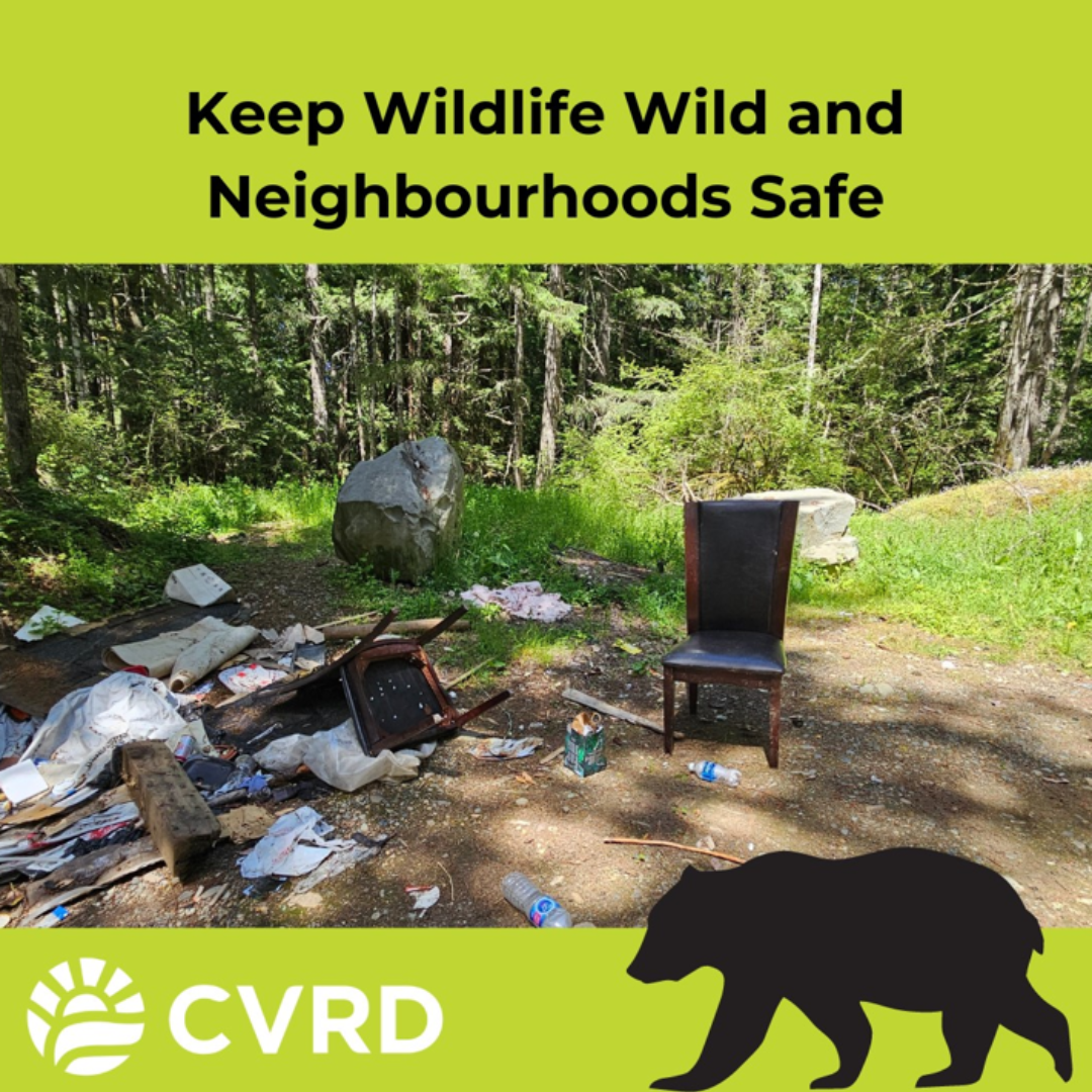 2024 August - Wildsafe Illegal Dumping