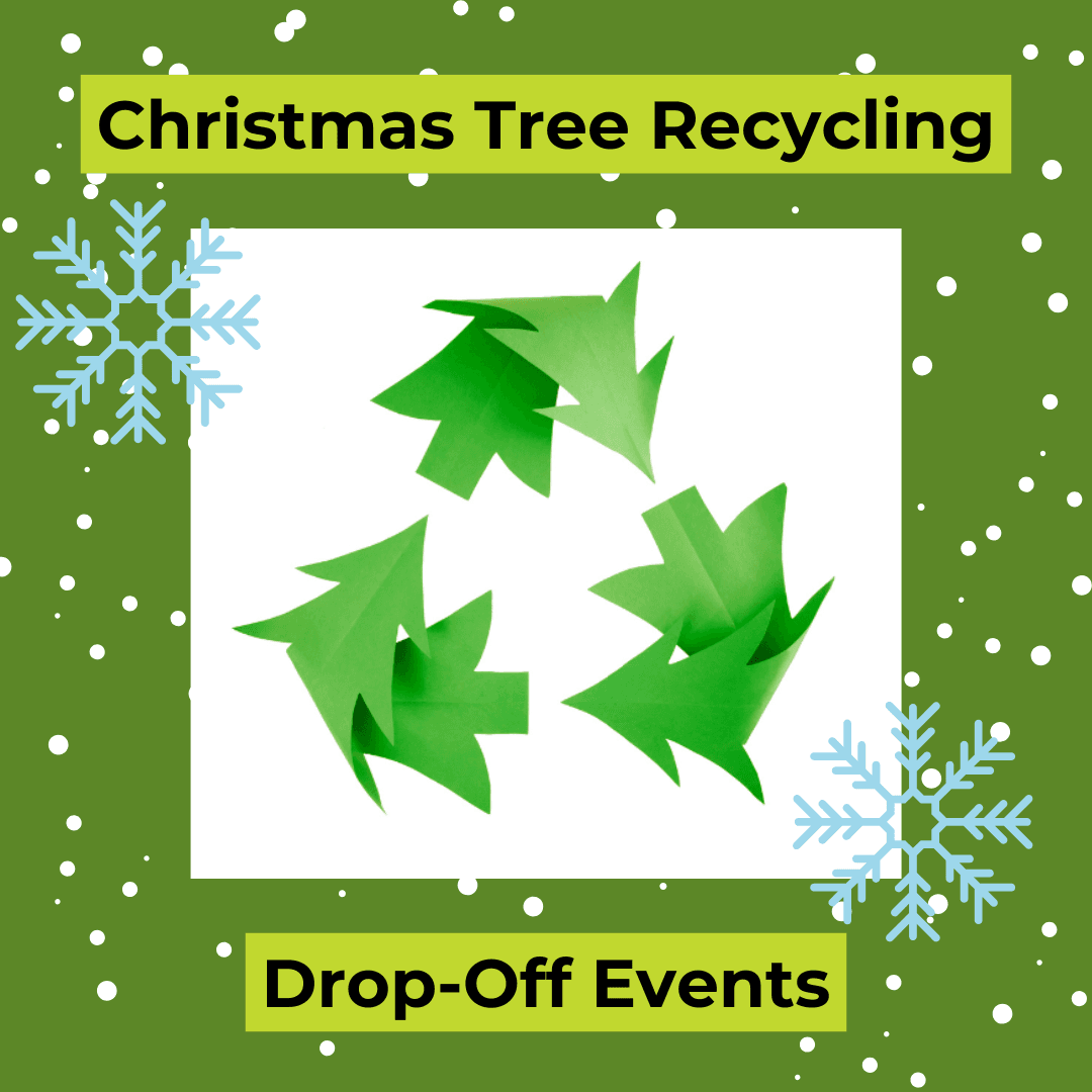 2025 Xmas Tree Recycling