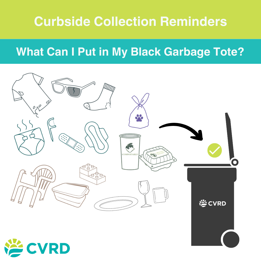 June 2025 Black Garbage Tote