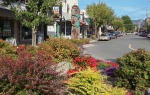 Station Street in Duncan