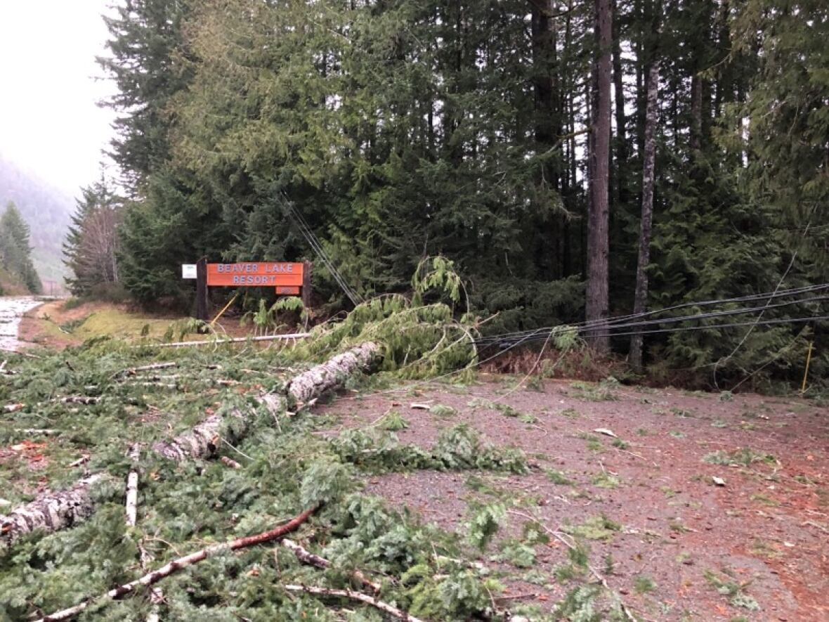 bc-hydro-wind-vancouver-island