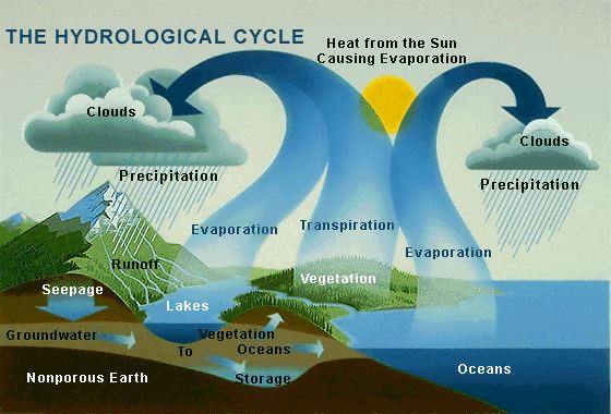 water cycle diagram